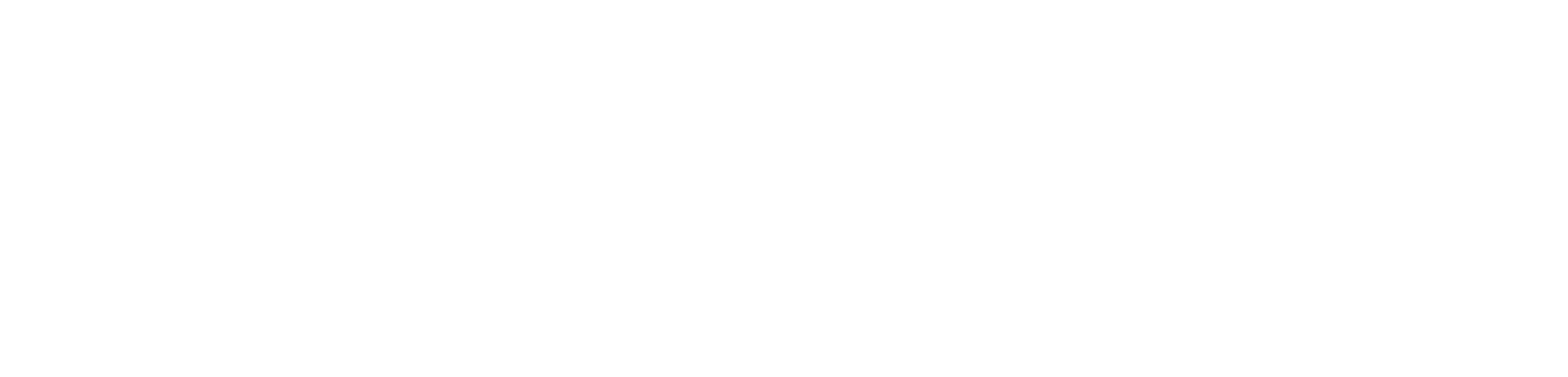 Horizontal logo, white