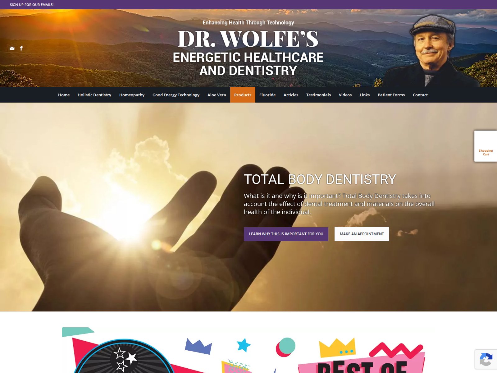 Screenshot of the Dr. Wolfe Energetic Healthcare and Dentistry website homepage